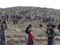 METU