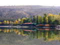 METU